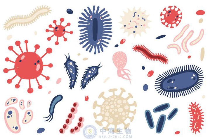 微生物是什么？哪些營(yíng)養(yǎng)物質(zhì)促進(jìn)微生物生長(zhǎng)繁殖？